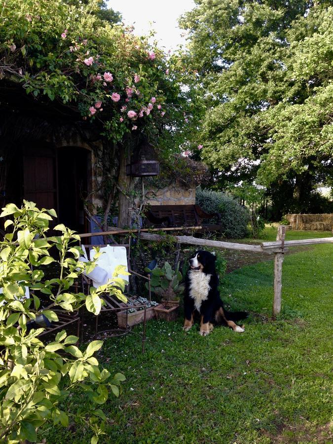 Bed And Breakfast Dopo Il Settimo Cielo Lubriano Extérieur photo