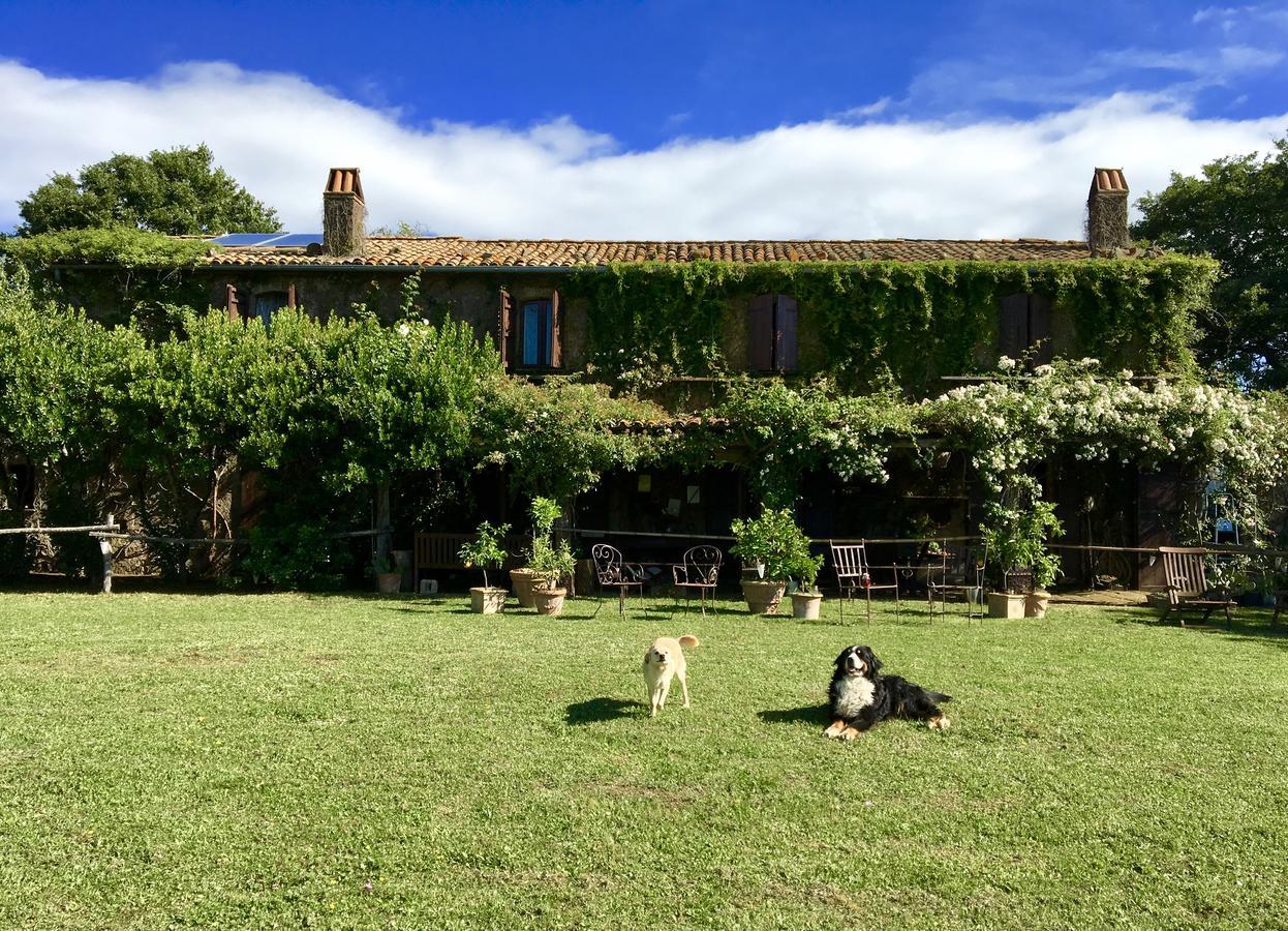Bed And Breakfast Dopo Il Settimo Cielo Lubriano Extérieur photo